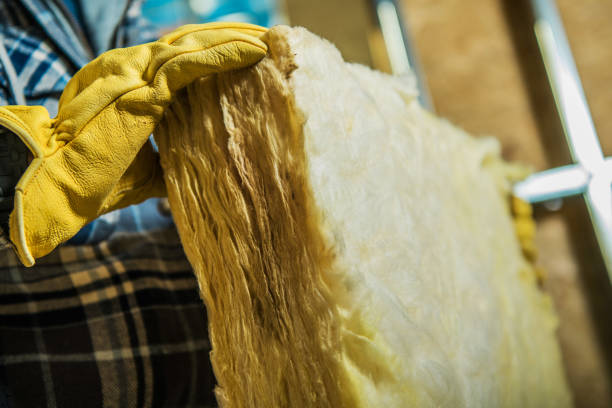 Best Geographic-Specific Insulation Services in Hagaman, NY